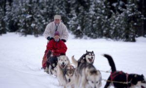 Couple being pulled by dogs on a dog sled