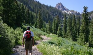 Man hiking up mountain trail